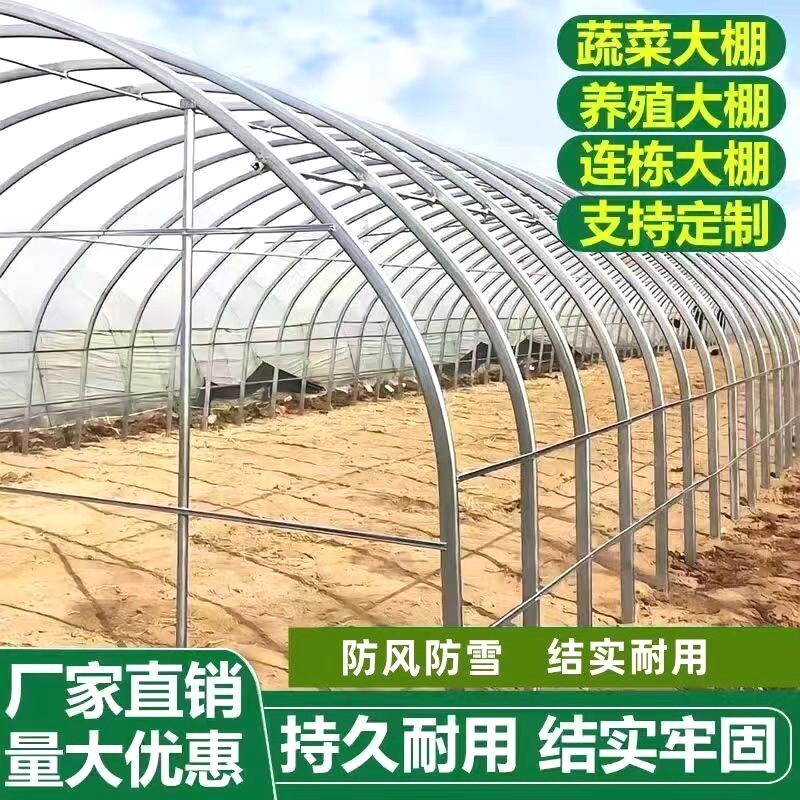 加厚大棚骨架全套拱杆育苗蔬菜种植半坡连体连栋棚椭圆管养殖大棚