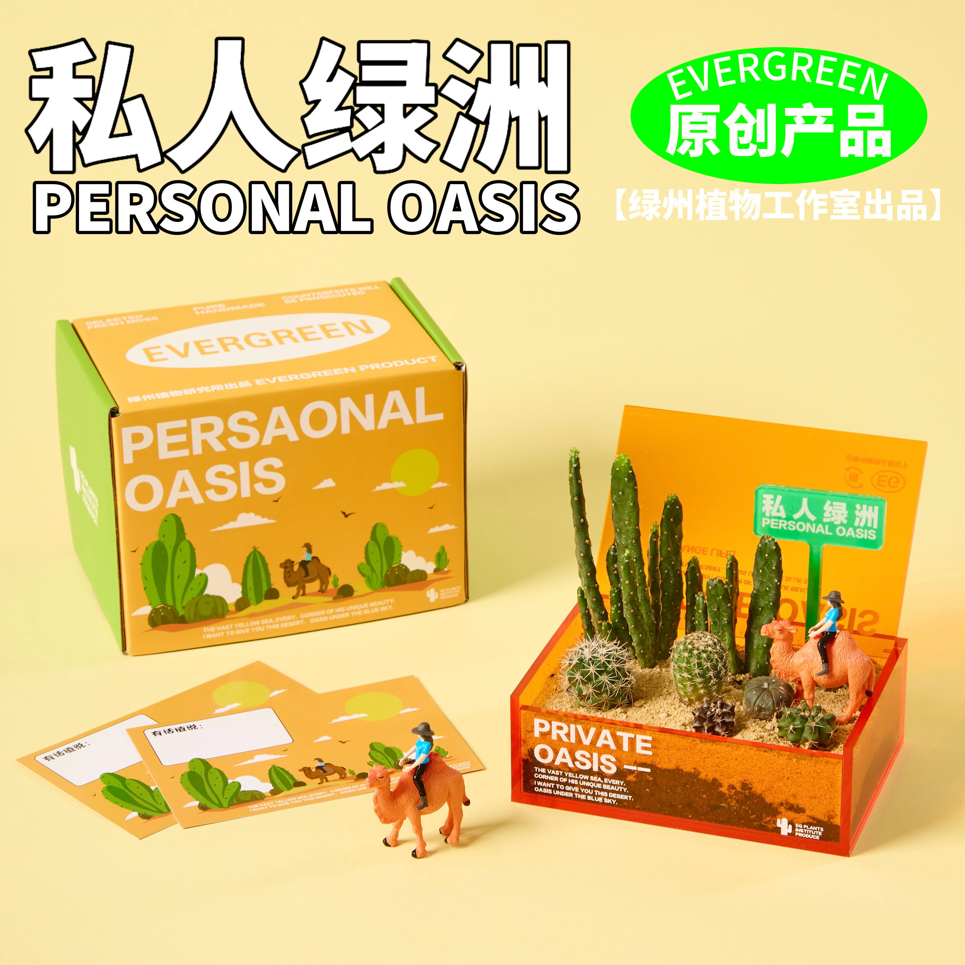 绿州私人绿洲沙漠仙人掌盆栽仙人球植物办公桌面绿植解压创意