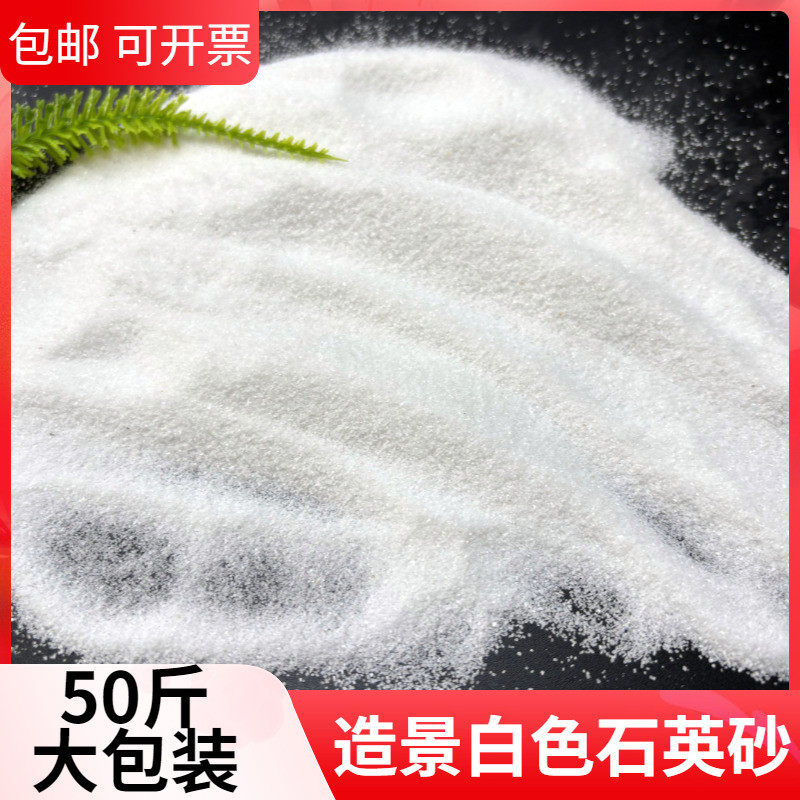 50斤白沙子石英砂细沙白色砂子酒店垃圾桶烟灰缸灭烟天然颗粒造景
