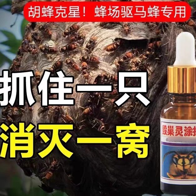胡蜂毁巢水胡蜂灭马蜂诱蜂水胡蜂克星涂抹剂胡蜂预防
