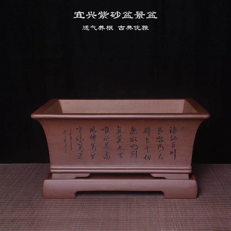宜兴紫砂长方形盆景盆精品手工原矿加高大号紫色马槽盆栽透气花盆