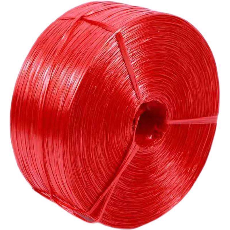 捆扎绳塑料绳包装绳尼龙绳拉枝绳扎口绳绑带绳编织绳新料打包绳,鲜花速递/花卉仿真/绿植园艺,打草绳等其他绳子,淘宝优惠券,粉丝福利购,淘宝优惠卷