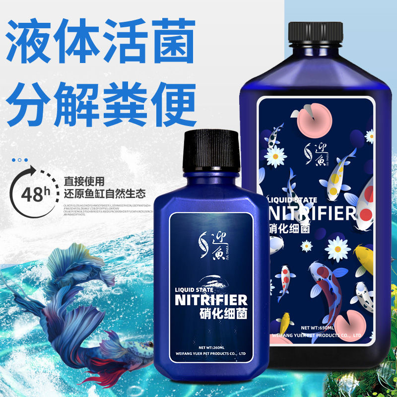 硝化细菌鱼缸净化水质稳定清澈剂养鱼水族用液体消化活菌净