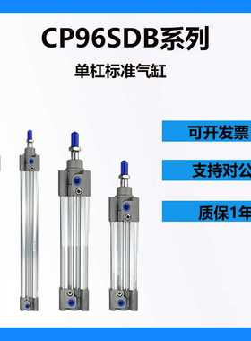 cp96sdb40-125夹袋气缸32-150c-3200-6863-1000c-110xc6c22*80-