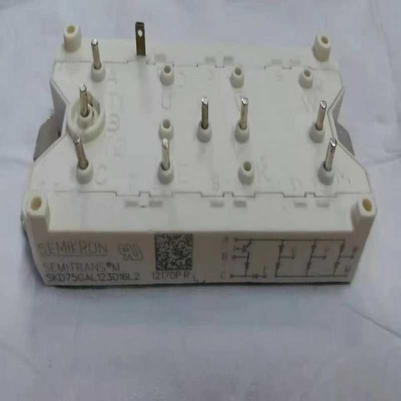 (询价)SKD 75 GAL 123 D 16 L2