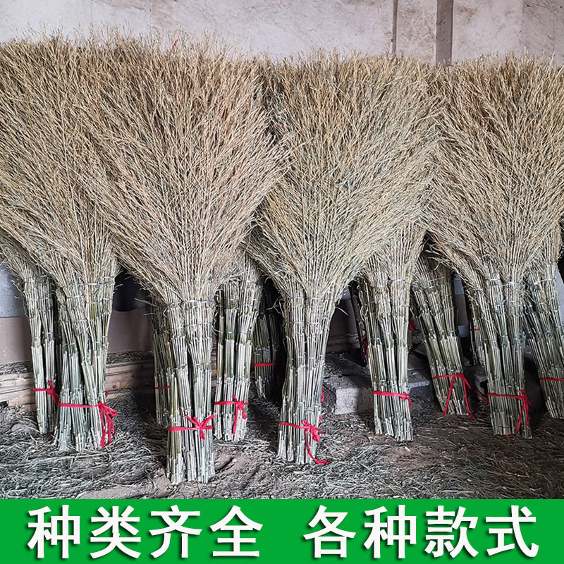 大扫把竹扫帚扫地马路扫院子的塑料丝庭院家用单个笤帚长扫室外
