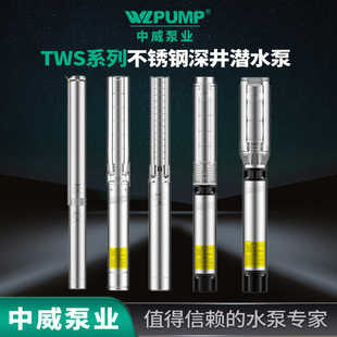 TWS4.05 4中威泵業(yè)WLPUMP不銹鋼高揚程全自動深井潛水電泵