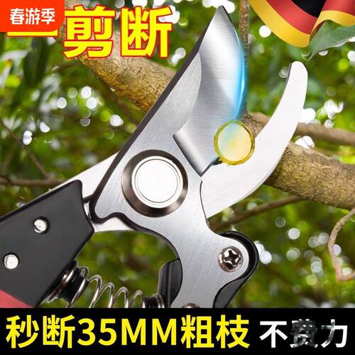 精工修枝剪果树专用粗树枝修花家用园艺剪刀花艺省力工具大全