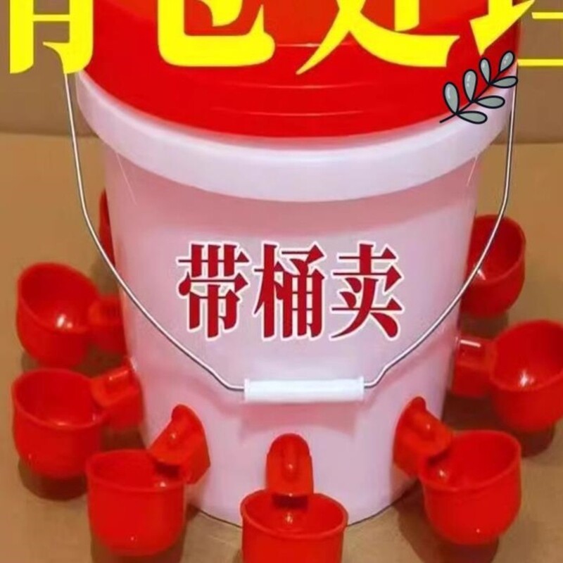 鸽鹌鹑饮水槽鸡用自动饮水器饮水杯鸽子家禽饮水碗雏鸡鸭鹅饮