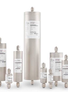 班美萝美国ENTEGRIS纯化器，GPUS2500FHX08R00--议价商品