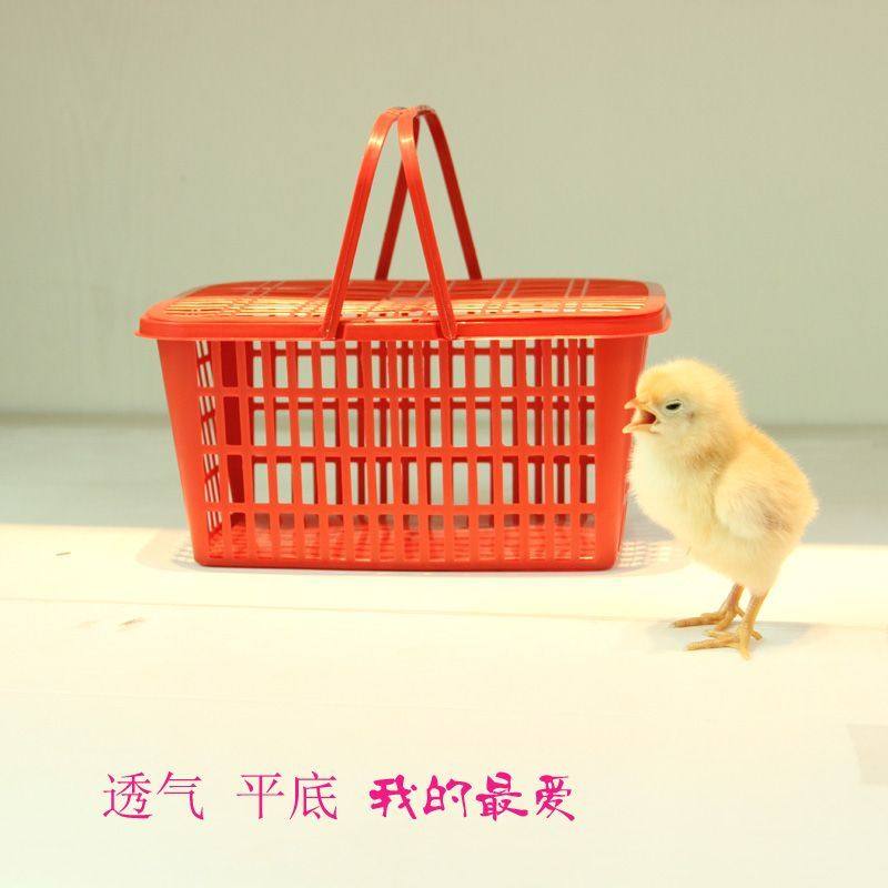 塑料筐带盖有盖摆摊兔子笼小笼子小鸡鸭子镂空篮仓鼠宠物乌龟动物