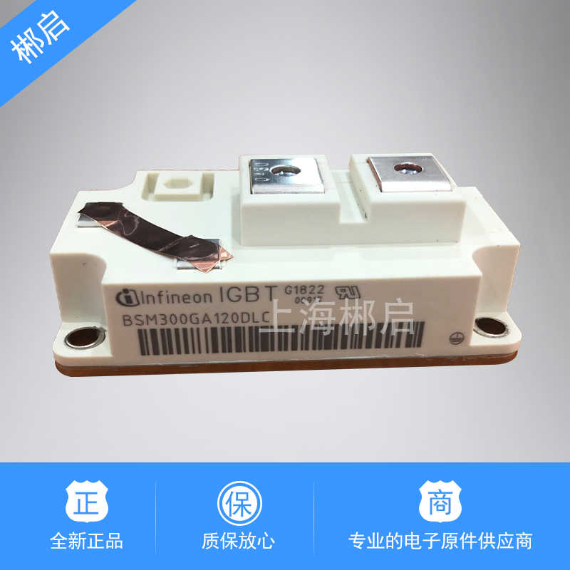 全新原装 BSM300GA120DLC/DN2FS_E3256/DN2S_E3/170DN2S/_E3256