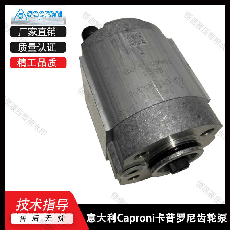 拍前咨询卡普罗尼Caproni齿轮泵10A4.2X302B适用于叉车1168和