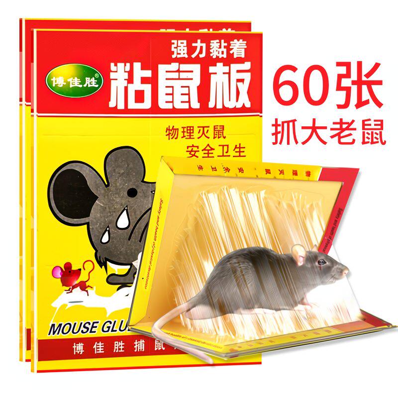 60强力粘鼠板捉粘大老鼠贴抓灭鼠捕鼠神器家用正有效当天聪明