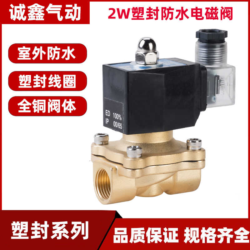 4分室外防水防雾电磁水气阀 DN15控制开关阀6分1寸220V24VDN40