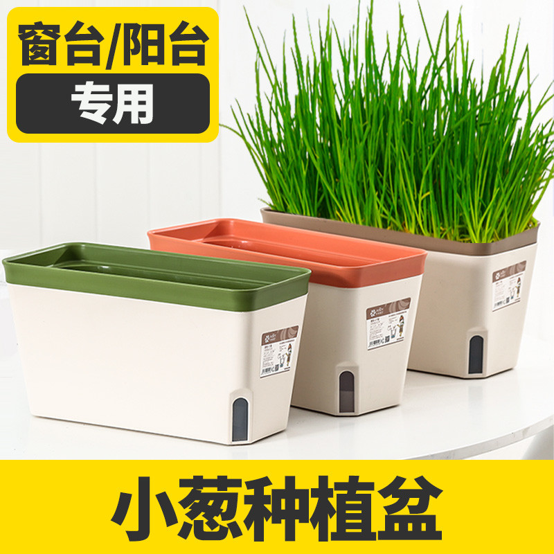室内窗台种葱蒜家庭阳台懒人种菜神器种植箱菜盆蔬菜植物专用花盆