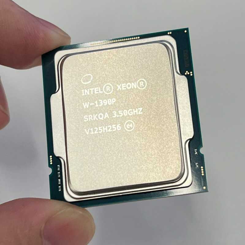 正式版 W-1390P 8核16线程CPU 集成Intel®（咳咳电子）