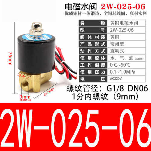 2W025-06黄铜DN06二位二通电磁阀 水阀  AC220C DC24V 全铜1