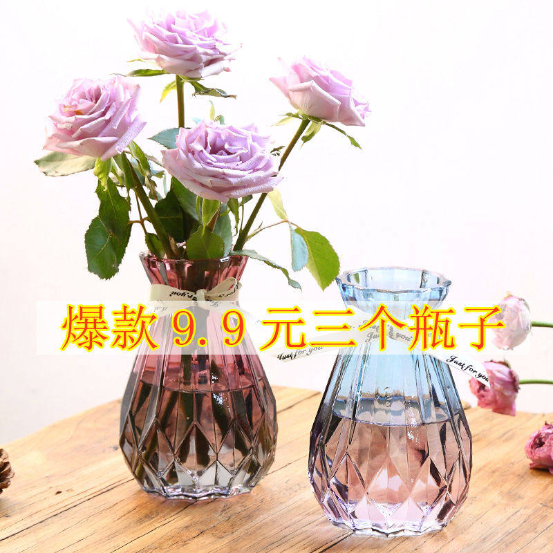欧式创意玻璃花瓶透明水培绿萝植物玻璃花瓶家用插花客厅装饰