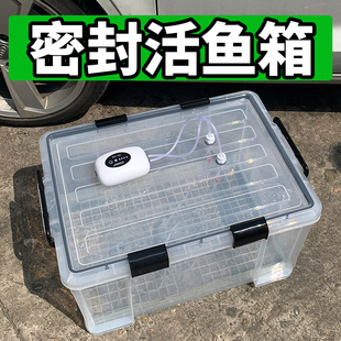 户外车载后备箱活鱼桶加厚大号塑料箱密封运鱼水箱野钓装鱼周转箱