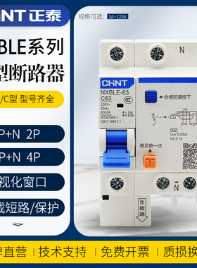 NXBLE-63/32家用2P断路器C10C16C25漏电保护器空气开关DZ47LE