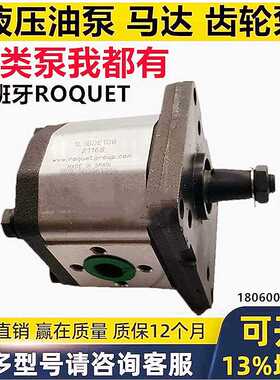 西班牙ROQUET油泵1L27DE10R  1L12 6 9 16 18 22 24 35 40 DE1