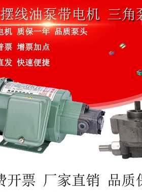 TOP-12A/13A齿轮油泵电机ROP11A三角摆线泵380V机床车床润滑22