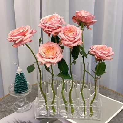 一排试管花瓶客厅轻奢高档亚克力花架鲜花水培插花试管不含花
