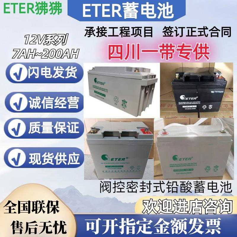 ETER蓄电池HSE100-12/12V100AH65A55A40A24A17/直流屏EPS/UPS