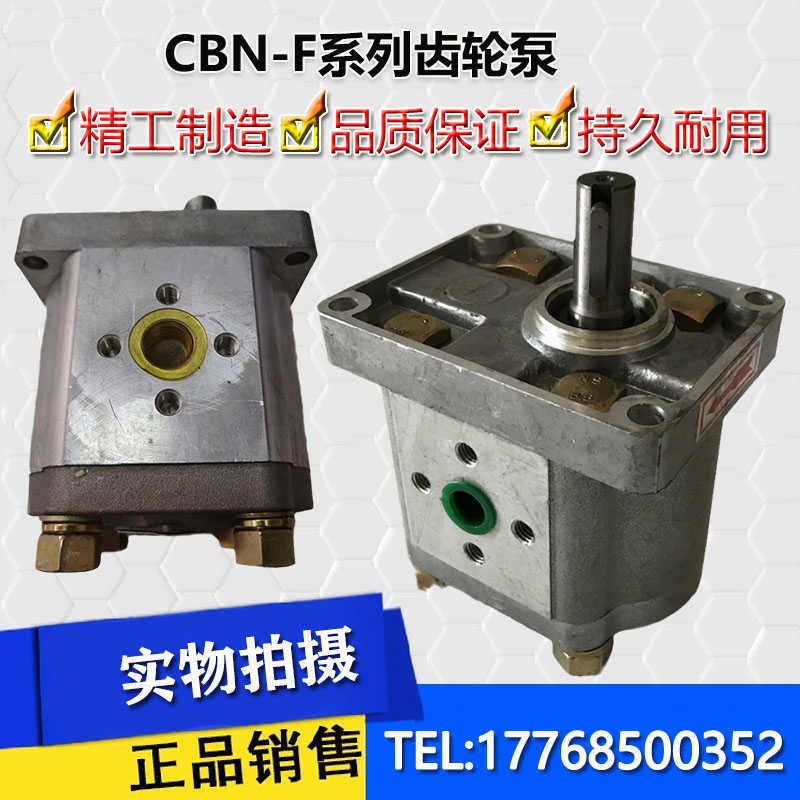 液压油泵齿轮泵CBN-E316 CBN-E310 CBN-E306 E320 E325 E314 E3