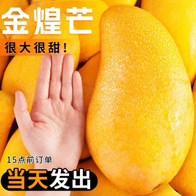 海南金煌芒斤10芒果一级大果新鲜水果现摘青甜心黄皮水仙芒整箱