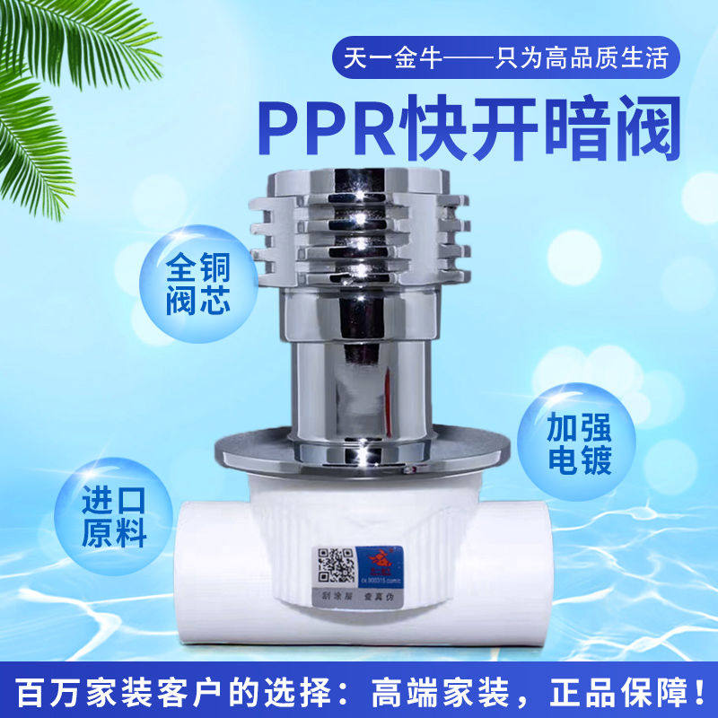 天一 金牛 质家装  ppr快开暗阀 阀门ppr水管配件 4分 6分