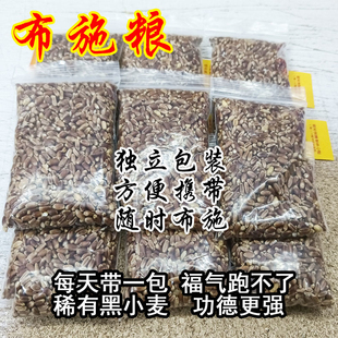 行善积德布施粮食鸟食鸟粮小鸟户外阳台麻雀蚂蚁食物米袋五谷杂粮