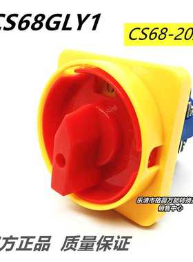 乐清市格磊电器 CS68-20A CS-68GLY1 三相四线多段式选择开关2