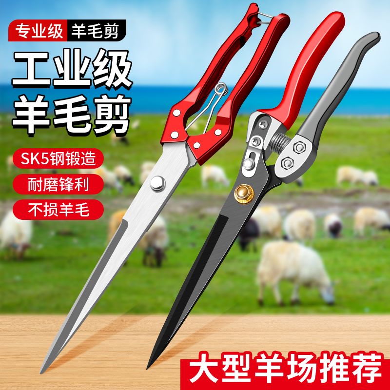 剪羊毛剪子羊毛剪刀手动绞绵羊毛专用弹簧兔狗毛大号修毛剪果