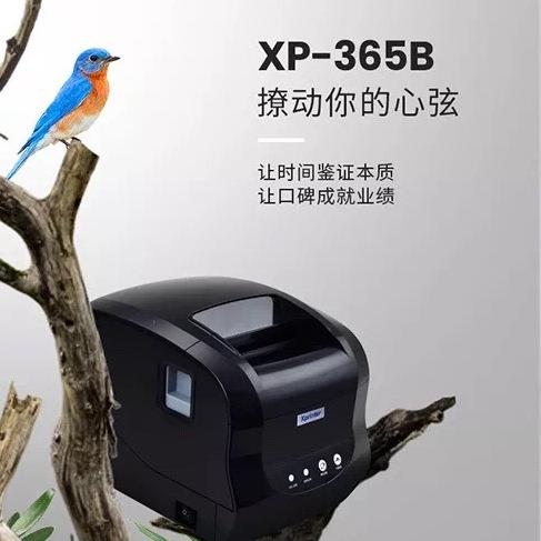 芯烨P无-36打5B(新)印热敏标签条码打机不干胶印机X服装吊牌超