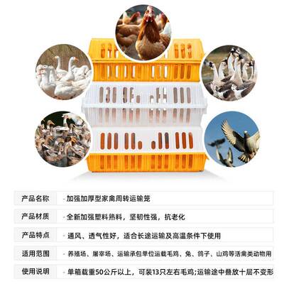 塑料用转家周箱筐鸡笼运输笼成鸡鸭鹅禽AVQ鸽子笼子兔笼养殖笼家