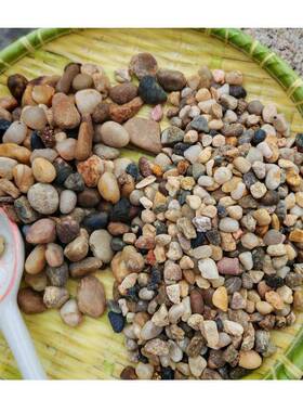 0-30mm纯黑雨花石院铺路石|圆润防滑砾689石+白色水磨石庭2造景组