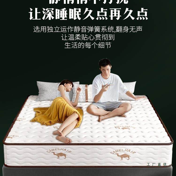 弹簧床垫经济型软两用2硬0胶m厚1.5c米1.8m乳椰棕租无品牌/房家用