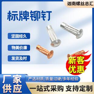 标牌铆钉铝铜铆钉GB827滚花铭牌铆钉半圆头扁头商标铆钉现货