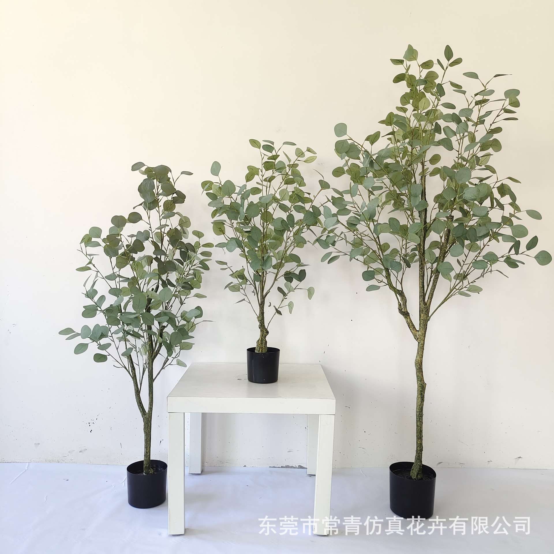 常青仿真植物装饰假绿植盆栽摆件仿真金钱树 霜色尤加利叶 现货