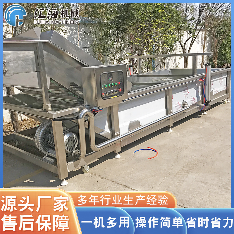 供应杏鲍菇气泡清洗机 全自动果蔬气泡清洗机 喷淋式玉米清洗机