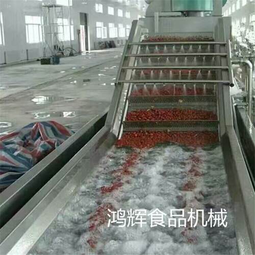 定做高压喷淋气泡清洗机 多功能叶类蔬菜清洗机 全不锈钢材质
