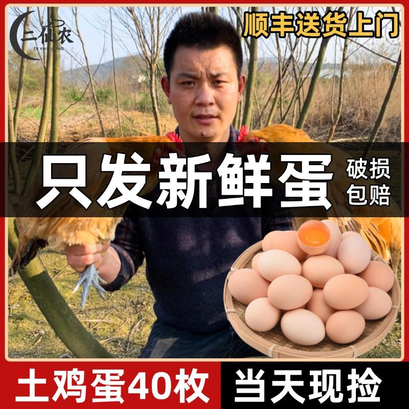 顺丰包邮二仙农鸡蛋新鲜土鸡蛋农家散养正宗农村生鲜蛋柴笨草鸡蛋,水产肉类/新鲜蔬果/熟食,鸡蛋,淘宝优惠券,粉丝福利购,淘宝优惠卷