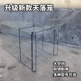 家用养殖户外鸽子天落笼加密两用镀锌拼装 升级新款 鸡鸭自动回收笼