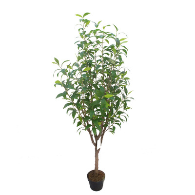 仿真植物新桂花树绿植盆栽月桂树桂花叶园林造景室内摆放盆景拍摄