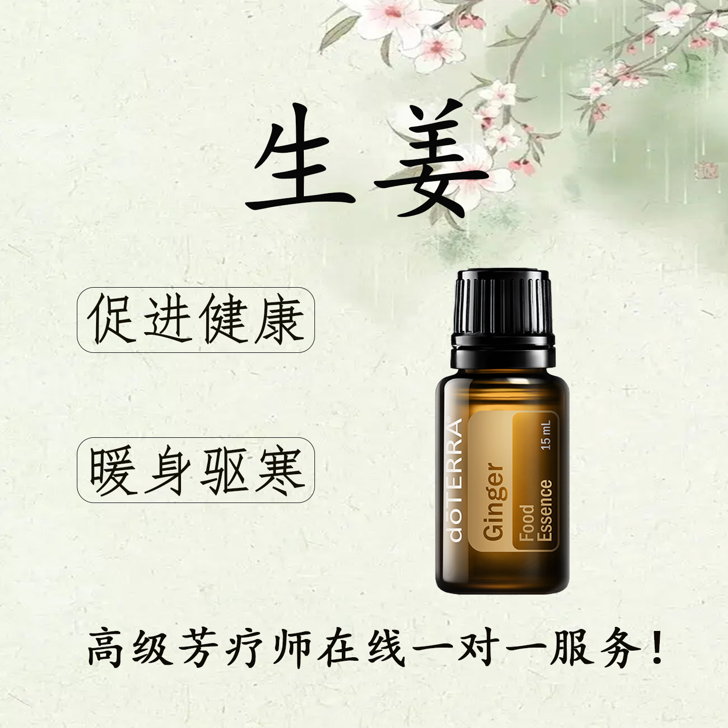 多特瑞生姜精油官网正品暖身祛湿肠胃不适抗氧化按摩单方精油15ml