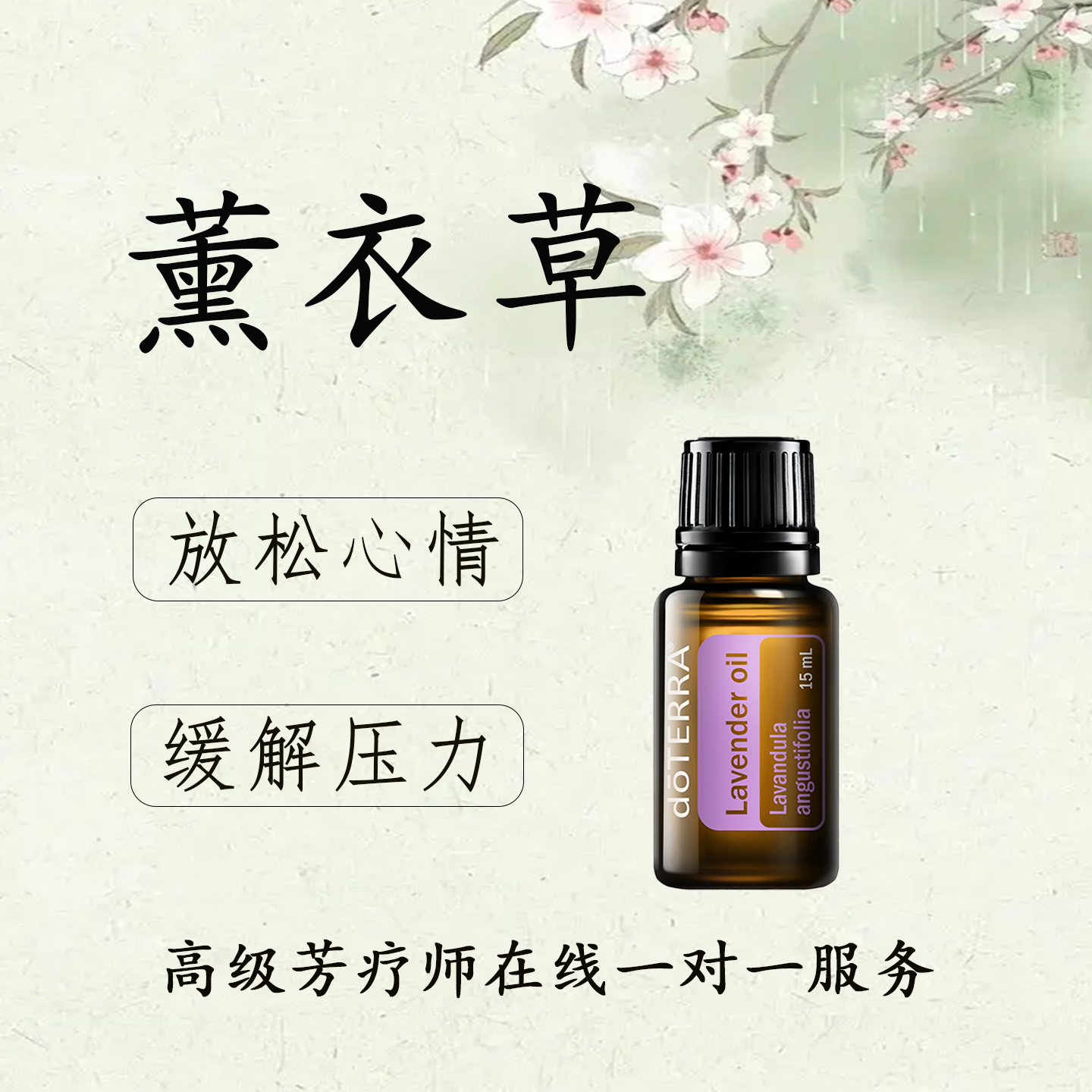 多特瑞薰衣草精油官网正品助眠修复疤痕痘印香薰按摩单方精油15ml