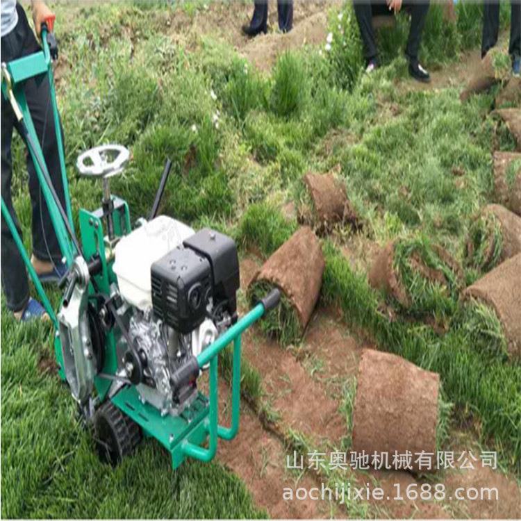 生产坪移植工具手推式汽90油草动力草坪足移植机皮球场用起草机