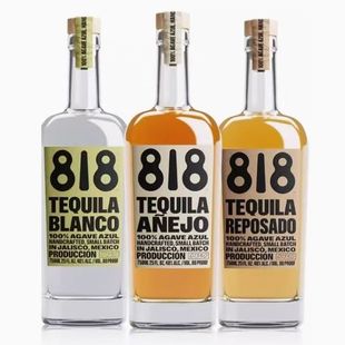 洋酒詹娜818龙舌兰酒系列肯达尔詹娜墨西哥进口TEQUILA金银陈酿酒